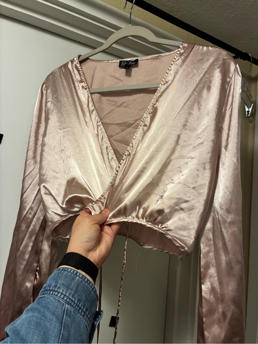 Shiny Satin Like Blush Pink Nude Long Sleeved Tied Crop Top